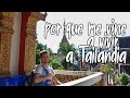VIVIENDO EN TAILANDIA: RAZONES PORQUE ME ENCANTA VIVIR AQUI