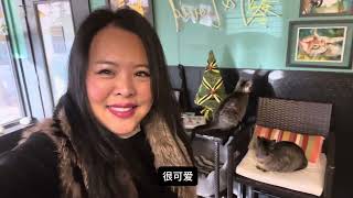 ￼北卡州-貓咖啡館之旅/North Carolina - Cat Cafe Tour