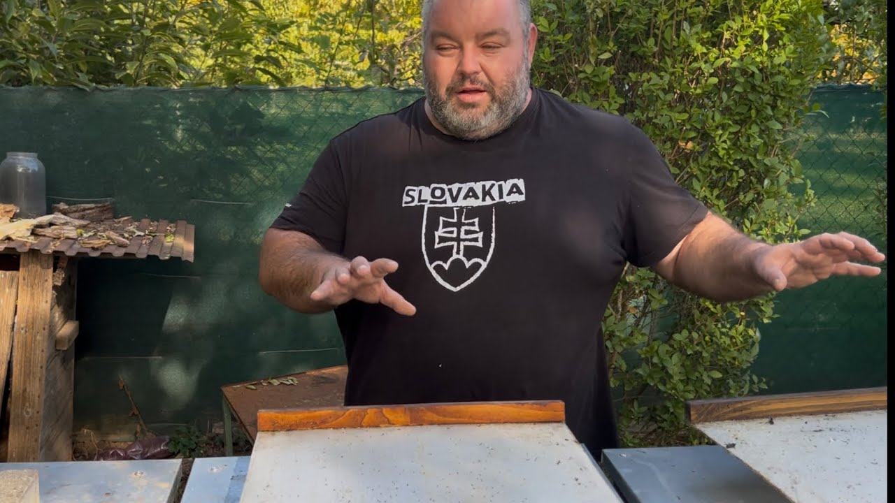 688. Spád klieštika po prvej aplikácii Varidolu (Amitraz)