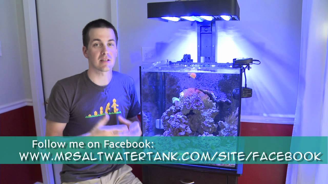 how to videos on tiktok A Suicide, Wildfires and An Infection