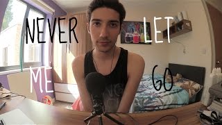 LANA DEL REY - NEVER LET ME GO (COVER) Resimi