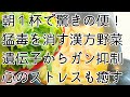 【驚くほど便が出た！】遺伝子からガンを消す漢方野菜は、心の不安やストレスもスーッとほぐれていきます。