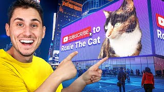 I Got My Cat a Times Square Billboard! by TFG Vlogs 341,380 views 2 weeks ago 9 minutes, 54 seconds