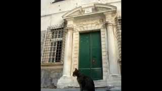 I Mignin - I Gattini