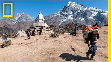 Quais são as principais atividades dos Sherpas?