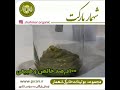 تولیدکننده کره پسته شهمار خالص و طبیعی 