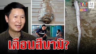 ปลาพญานาคโผล่ในไทยผวาสึนามิ อ.เจษฎา เชื่อมวลน้ำเปลี่ยนวนเข้าไทย | ทุบโต๊ะข่าว | 4/1/67