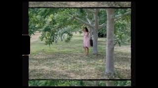 44998914365f4fd1819dff8c6ad04c11