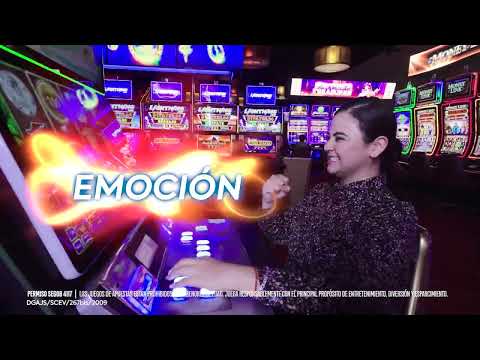Ven, tenemos todo lo que buscas en Vivento Casino