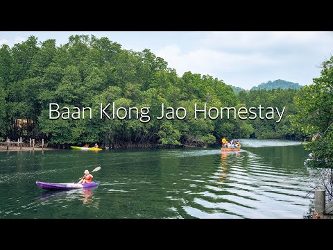 บ้านคลองเจ้าโฮมสเตย์ เกาะกูด | Baan Klong Jao Homestay Koh Kood