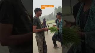आओ सभी लोग धान 🌾 लगवाओ 🤗 #shortvideos #comedy #dancemusic @gyanitavermafunny 💃🏻