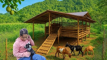 90 Days Alone Building a Bamboo Goat Farm in the Mountains | Peaceful Off-Grid Life