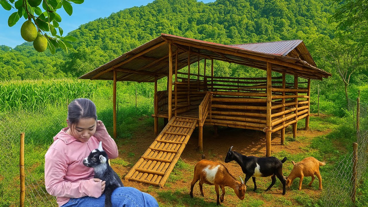 90 Days Alone Building a Goat House from Bamboo in the Mountain Countryside