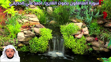 سورة المنافقون (صدى خفيف) بصوت القارئ/ احمد علي الحذيفي - Surat Al Munafiqun