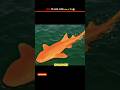 "An orange glowing shark 🐬Yes, it’s real |#shorts