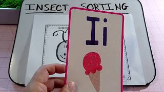 Letter I Science Activity: Insect Sorting (look below for details)