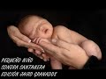 Video-Miniaturansicht von „pequeño niño - Sonora Santanera“