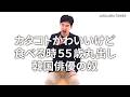『カタコトかわいいけど食べる時55歳丸出し韓国俳優の奴』ジャルジャルのネタのタネ【JARUJARUTOWER】