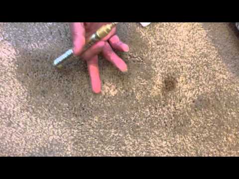 How To Remove Bleach Stains From Carpet You How To Remove Bleach Stains From Carpet