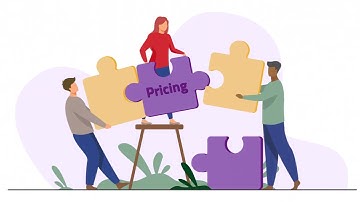 Why Pricing Matters