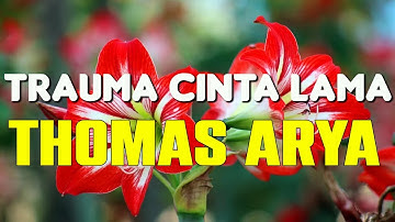 Thomas Arya - Trauma Cinta Lama | Lirik