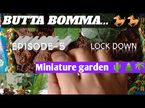 How To Creat A Miniature Garden | Indoor plants| #Creativeidea #