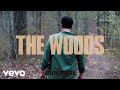 Steven Lee Olsen - The Woods (Audio)