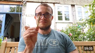 Spontaneous garden livestream :D