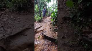 hiking bukit kerinchi and bukit gasing for first time