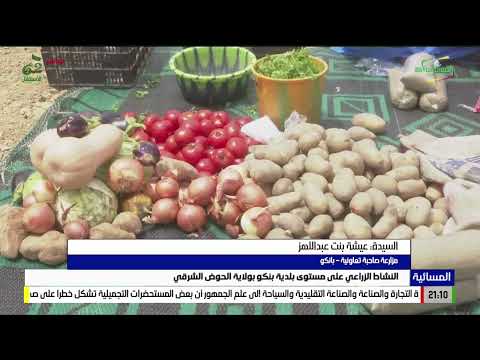 النشاط الزراعي على مستوى بلدية بنكو بولاية الحوض الشرقي