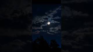 🛐Oraciones de🥰 la noche 🌙 Dios te bendiga ✝️ y proteja siempre 🙏