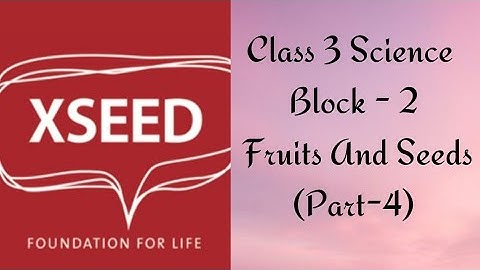 Class 3 Science (XSEED) Block -2 Fruits and Seeds  (part-4)