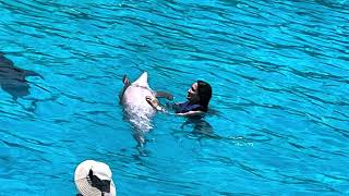 Leonel Leo Jimenez with Dolphins Puerto Vallarta Mexico June 2023