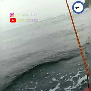 #tegalmas #lampung   status wa || WhatSapp 30 menit