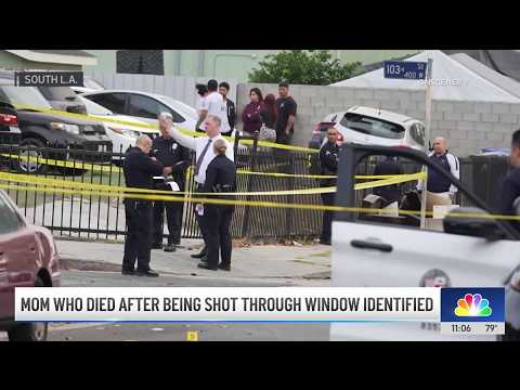 Boyfriend expresses grief after young mother is shot in bed by stray bullet