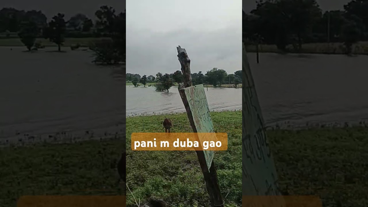 gao duba pani m 
