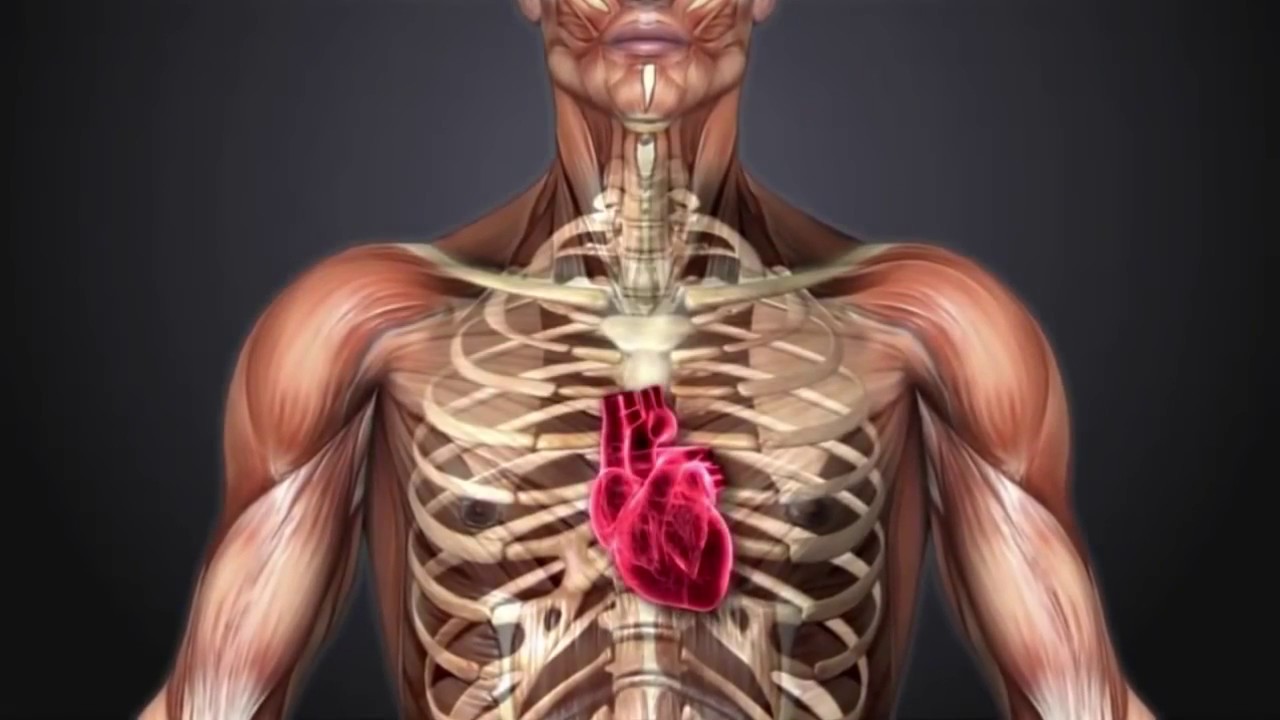 USANA Essentials For Total Body Health