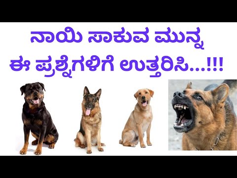 ನಾಯಿ ಸಾಕುವ ಮುನ್ನ ಈ ವಿಡಿಯೋ ನೋಡಿ....!!!