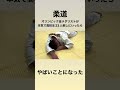 柔道オリンピック金メダリストが高校生23人とガチで闘ったらヤバすぎた #shorts