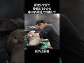 研究しすぎて炒飯2日かかる #shorts