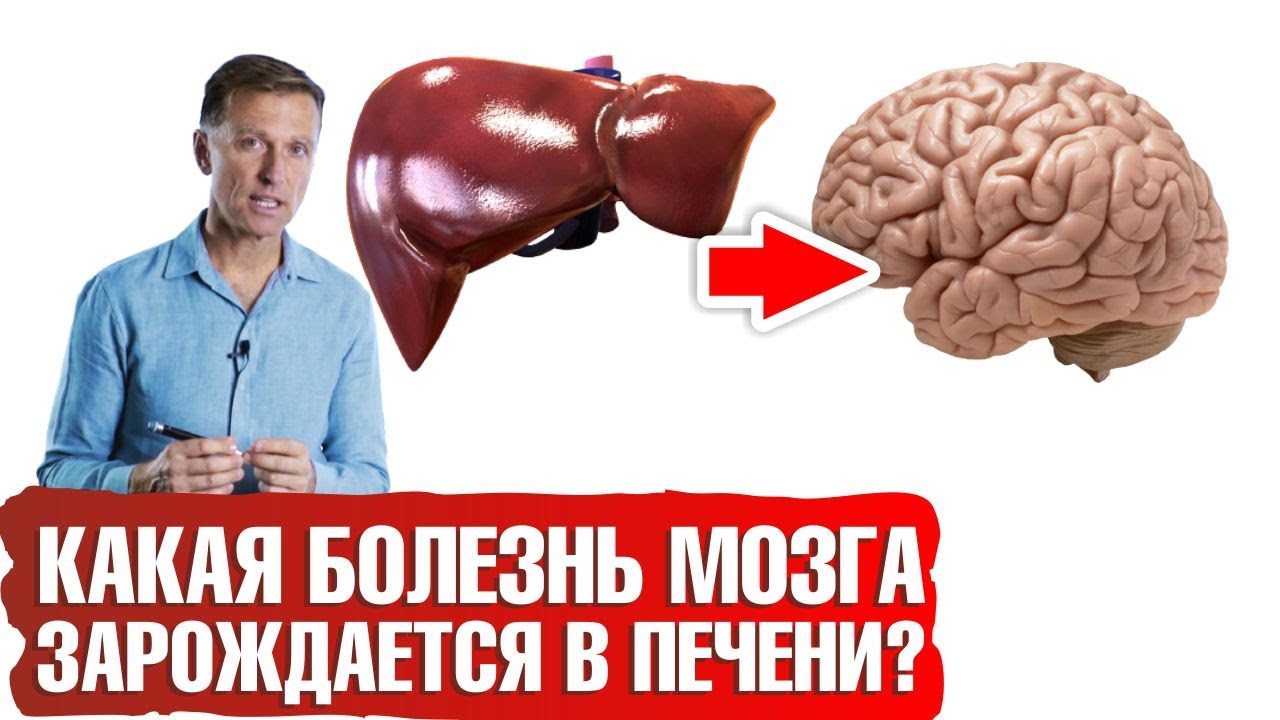 Береги печень, чтобы не заработать болезнь Альцгеймера📢