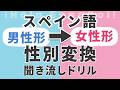 1秒で言える?【重要】即答したいスペイン語の男女性別変換テスト