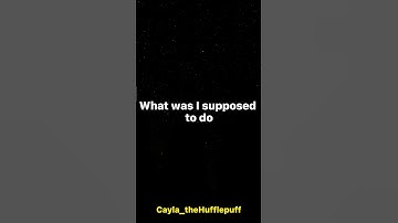 Y/n and the Weasley twins