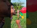 ​Creative: Amazing DIY Bamboo &amp; Balloon Air Toy! 🎈🎍