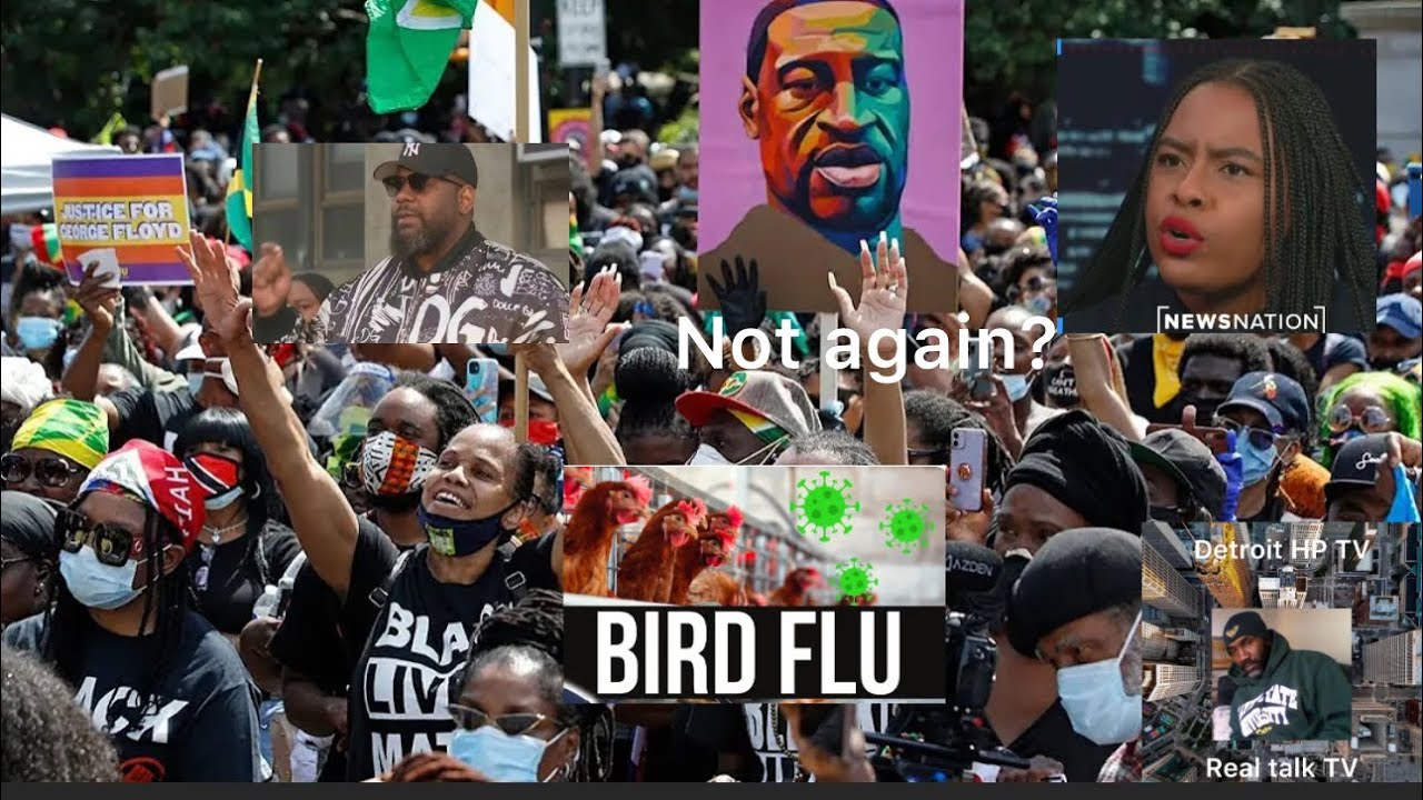 Black Lives Matter in the streets protesting as reports of a New Bird ...