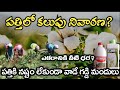 а Єа а Ќа а їа Іа а а Іа Ѓа Єа Ѓ а Ёа їа µа ѕа а Ј Pathilo Kalupu Nivarana Pathi Lo Gaddi Mandu Rythuseva Agritech а Єа а Ќа а їа Іа а а Іа Ѓа Єа Ѓ а Ёа їа µа ѕа а Ј Pathilo Kalupu Nivarana Pathi Lo Gaddi Mandu Rythuseva Agritech
