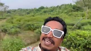 ফউউউউল পথ পথ, বগন বগন Travel Basket এর সথ টযর হক