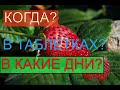 ВЫРАЩЕВАНИЕ РАССАДЫ КЛУБНИКИ В ДОМАШНИХ УСЛОВИЯХ/Клубника и земляника – как и когда сажать в 2022