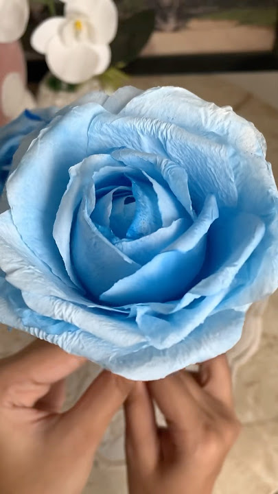 Napkin rose | easy rose from tissue | paper flower making