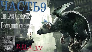 Прохождение The Last Guardian: Последний хранитель на PS4 pro часть 9